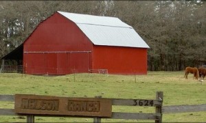 Nelson Ranch barn