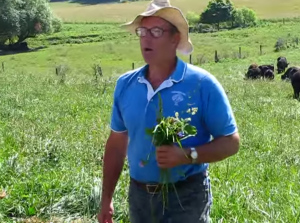 Joel Salatin discusses grass-fed cattle